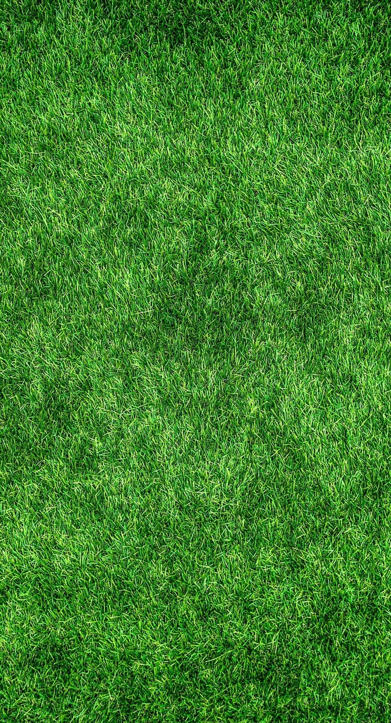 Eco-friendly DIY Tricks
